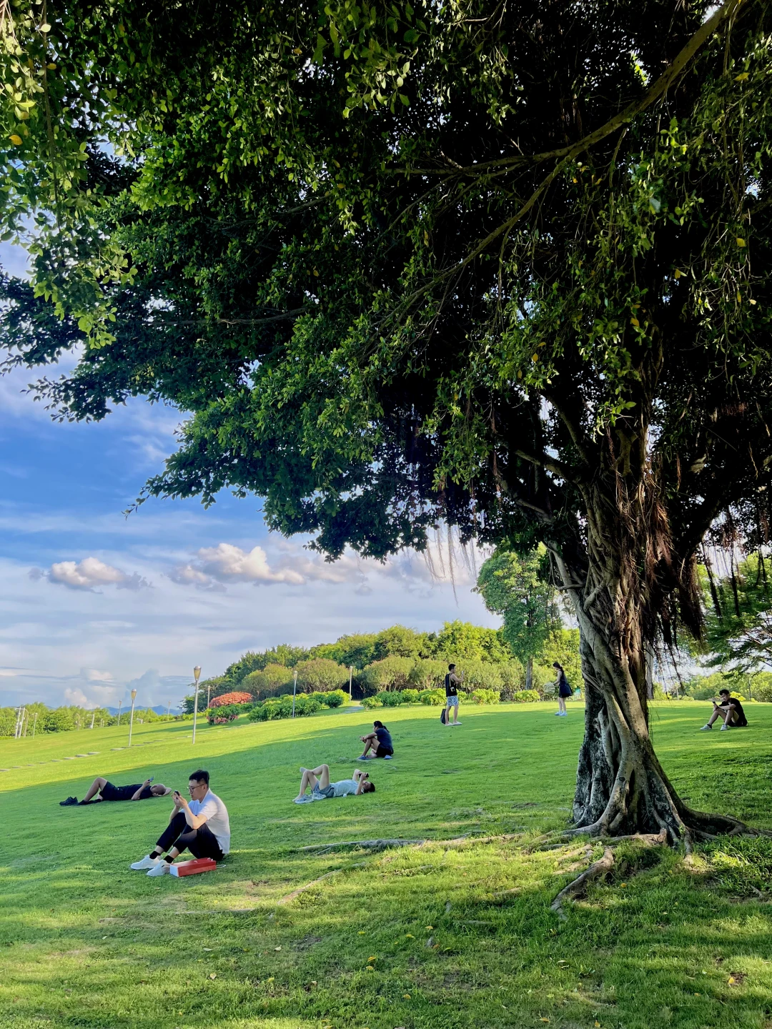 深圳湾看海赏日落超美Citywalk路线（附地图