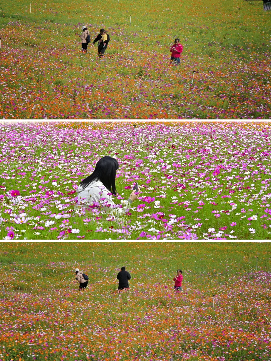 深圳最新打卡地🧡需预约、附攻略