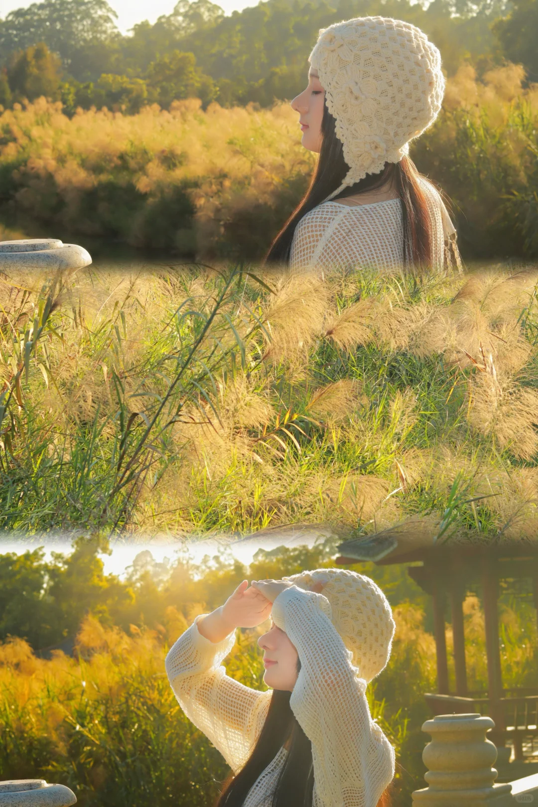 互勉3/20📷东莞南城也能拍芦苇大片啦