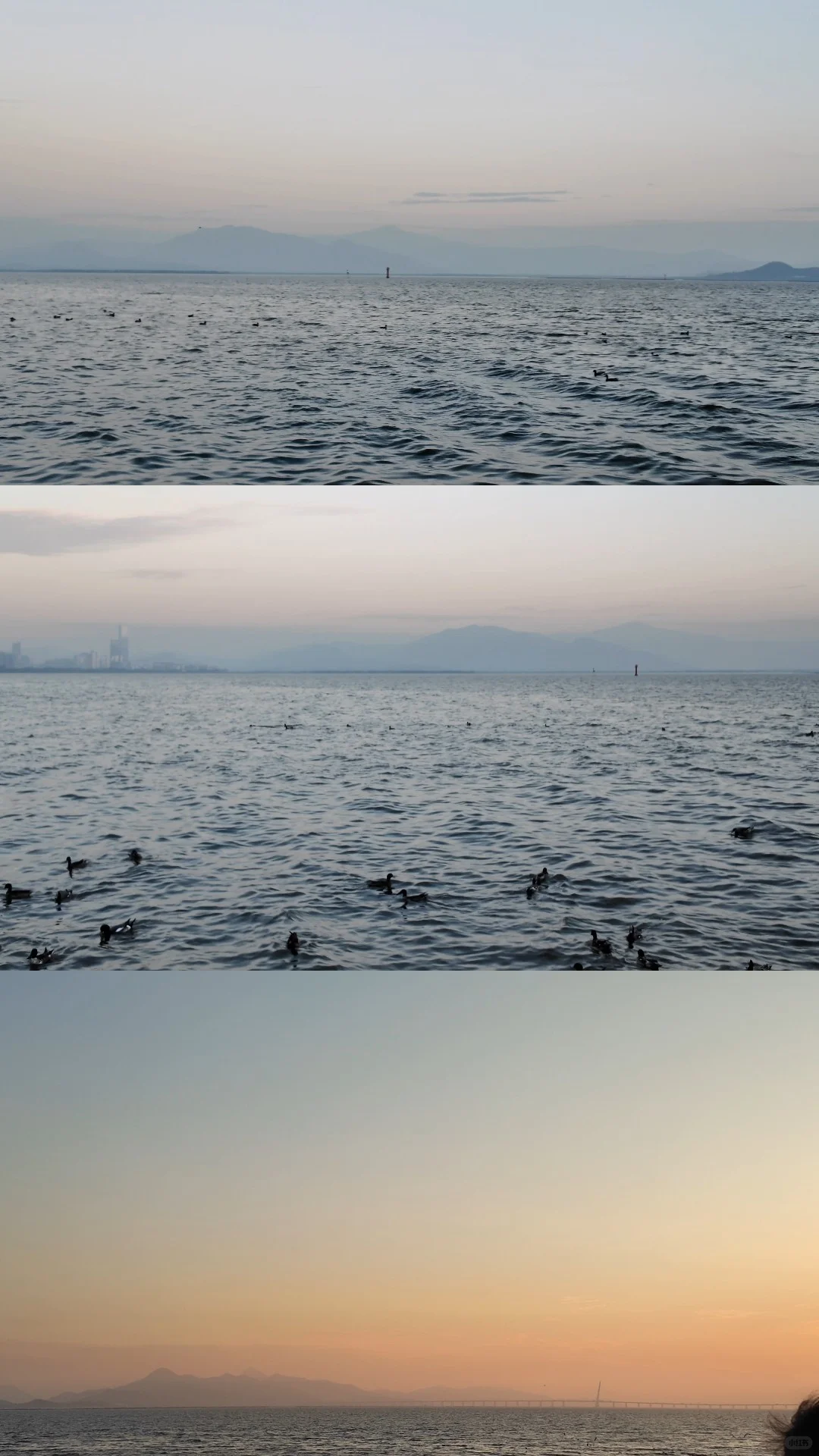 在深圳湾拍了一组神图！！！