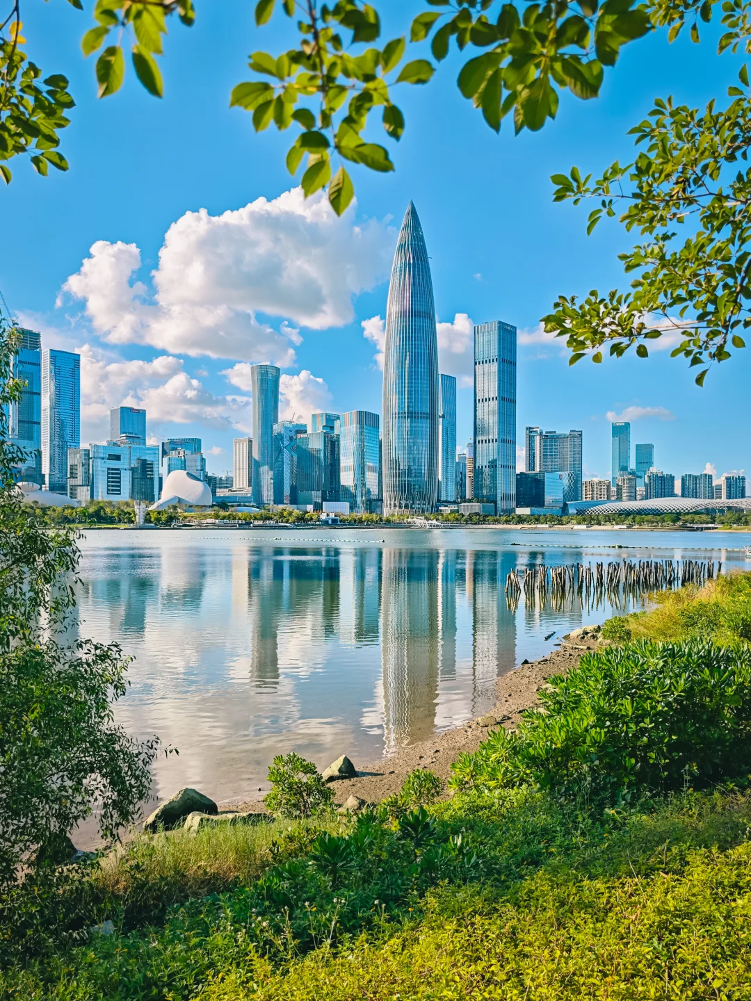 深圳citywalk｜好喜欢这条世界级城市街区！