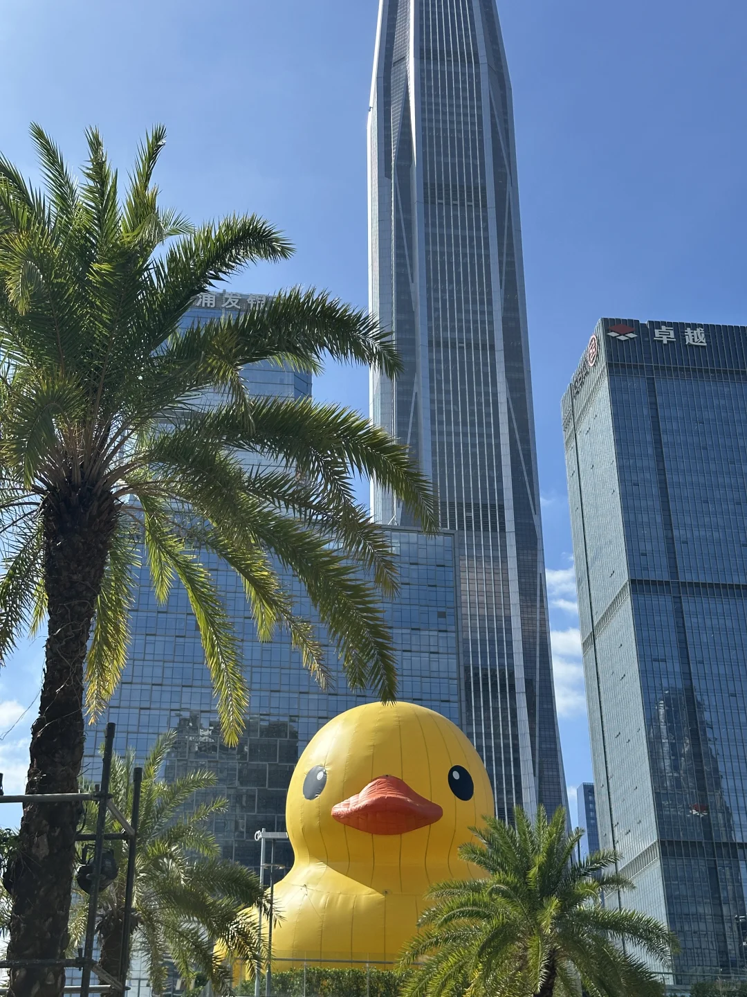 谁懂啊？🔅☁️深圳今天天气的含金量！