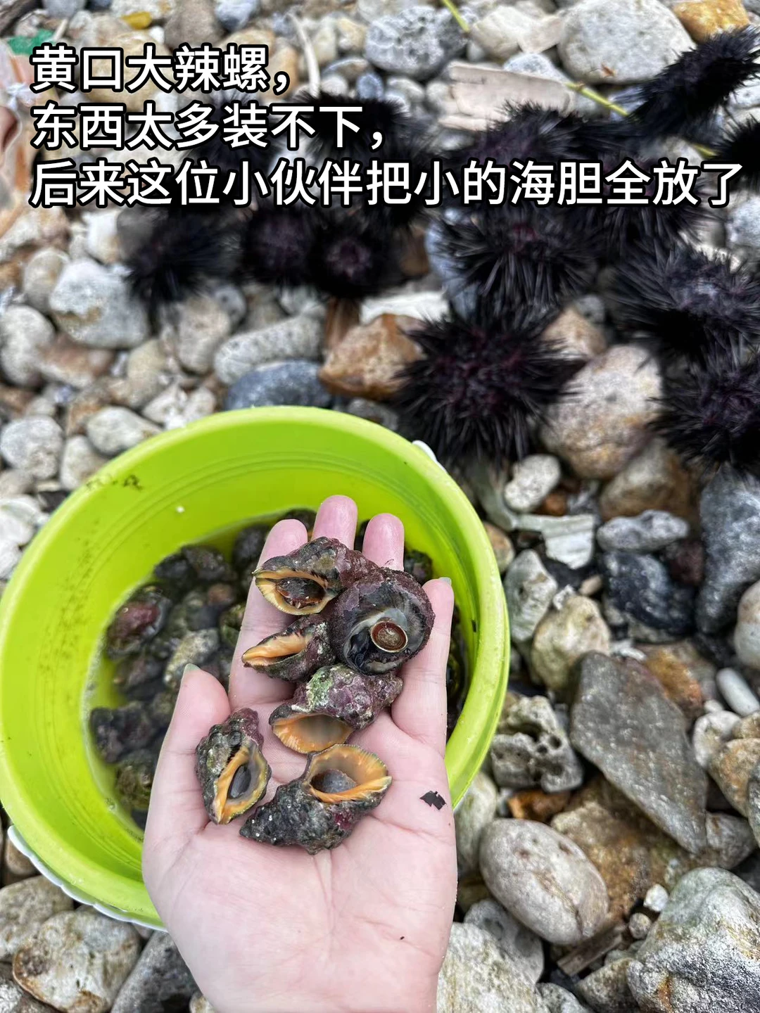 不去人挤人！深圳未开发秘境，超适合赶海！