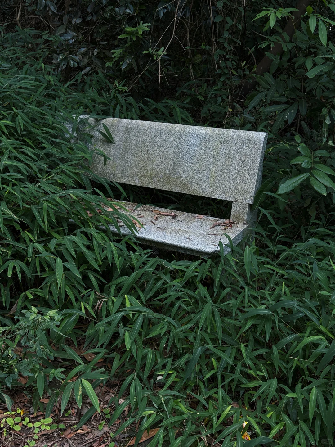 惊艳我了！龙岗这地方也太好拍了吧！！！