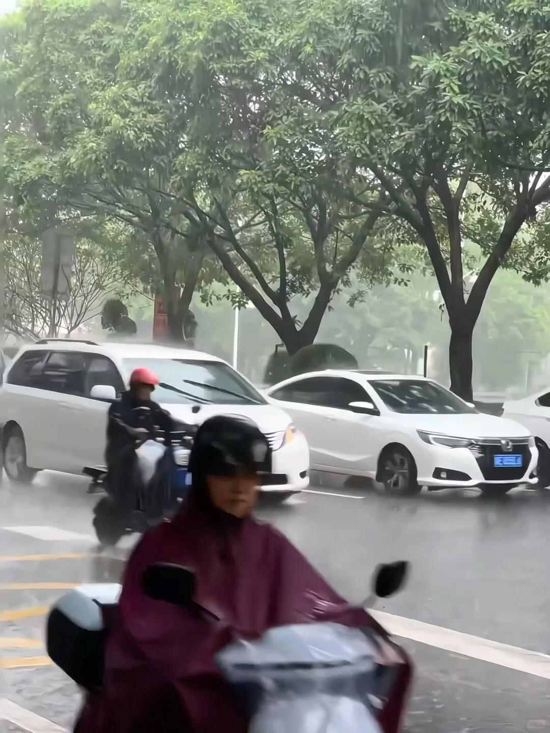 刚收到消息，近期要去广州的家人注意啦😭😭