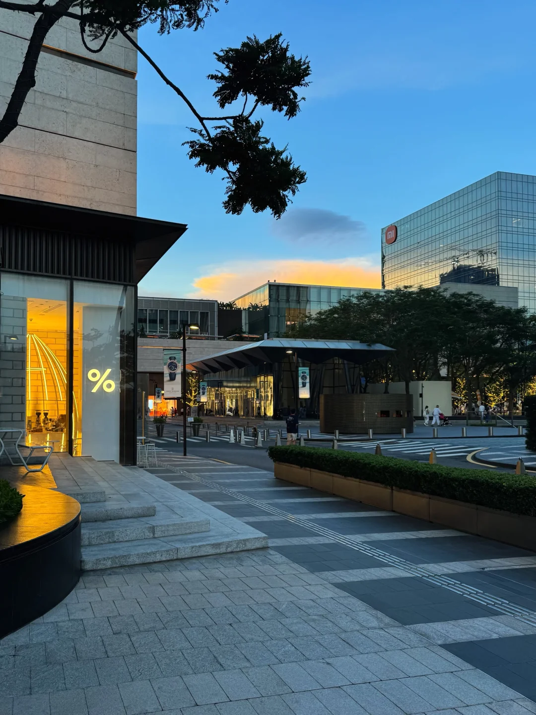 深圳湾不是深德里