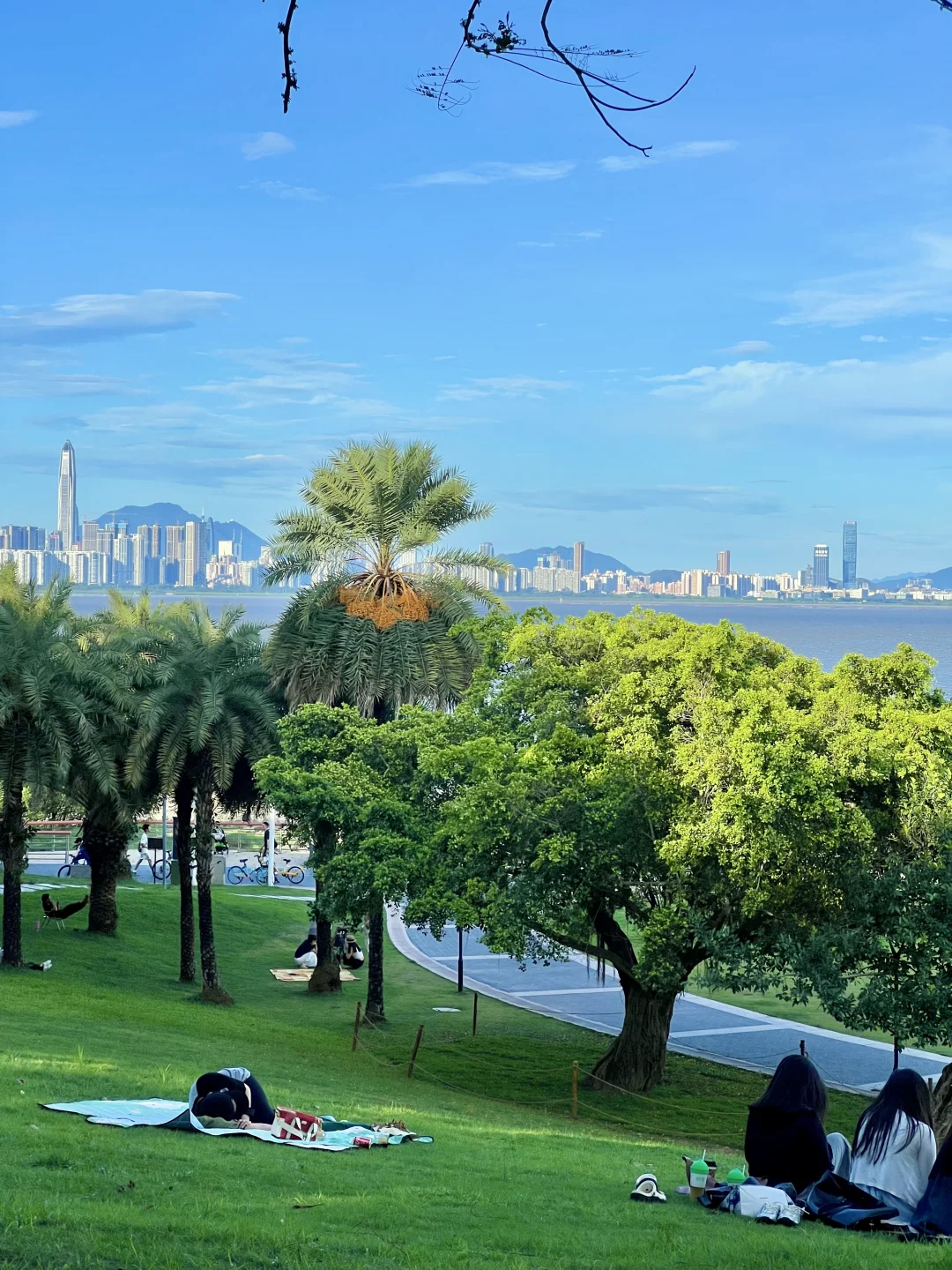 深圳湾看海赏日落超美Citywalk路线（附地图