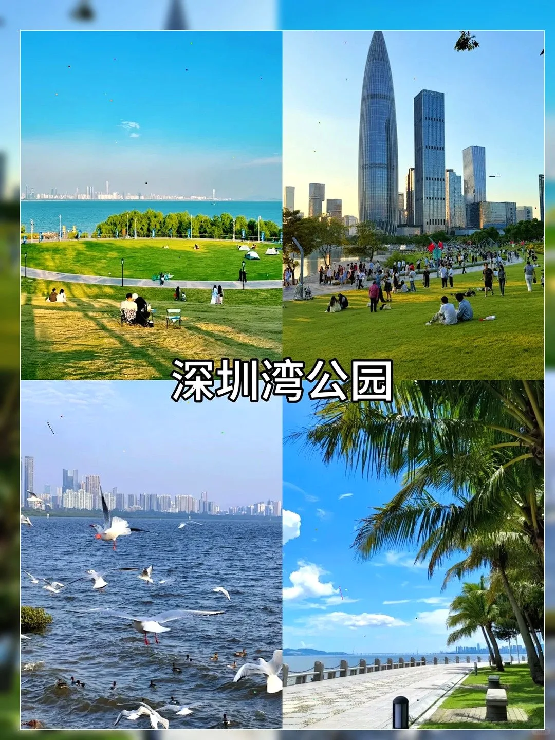 😎地铁直达！深圳12个宝藏游玩地😜