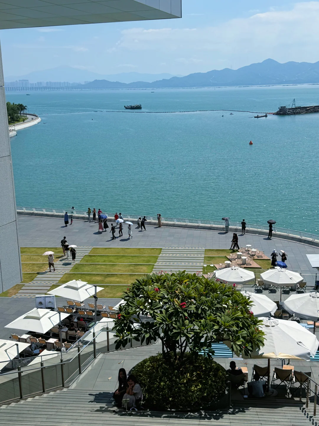 深圳很chill🌴喝咖啡逛公园