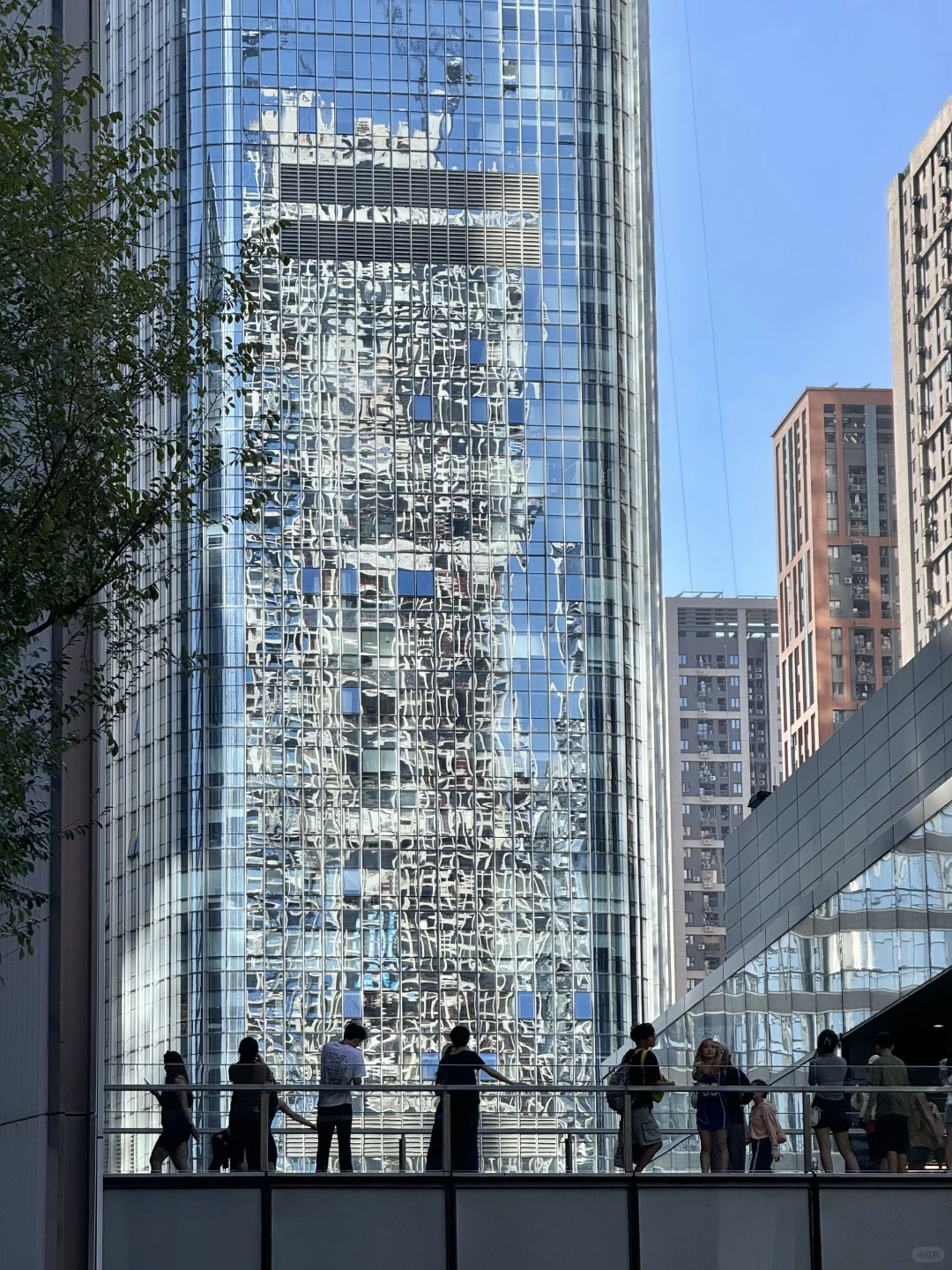 深圳很chill🌴喝咖啡逛公园