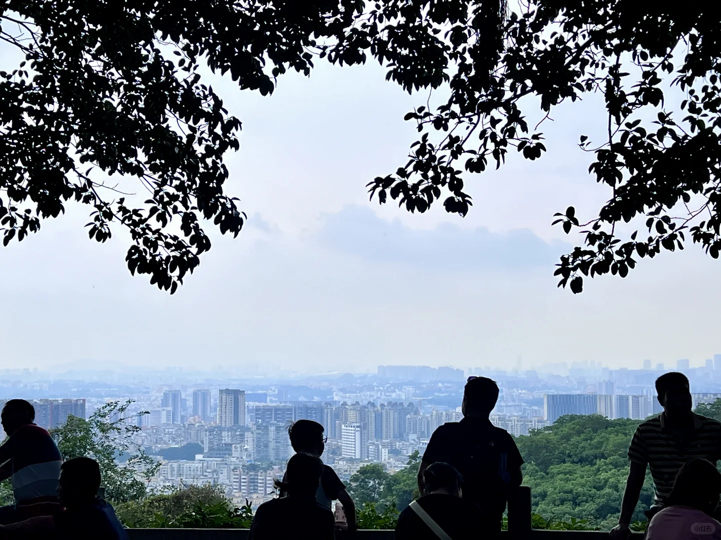 广州让我觉得反差感很大的城市