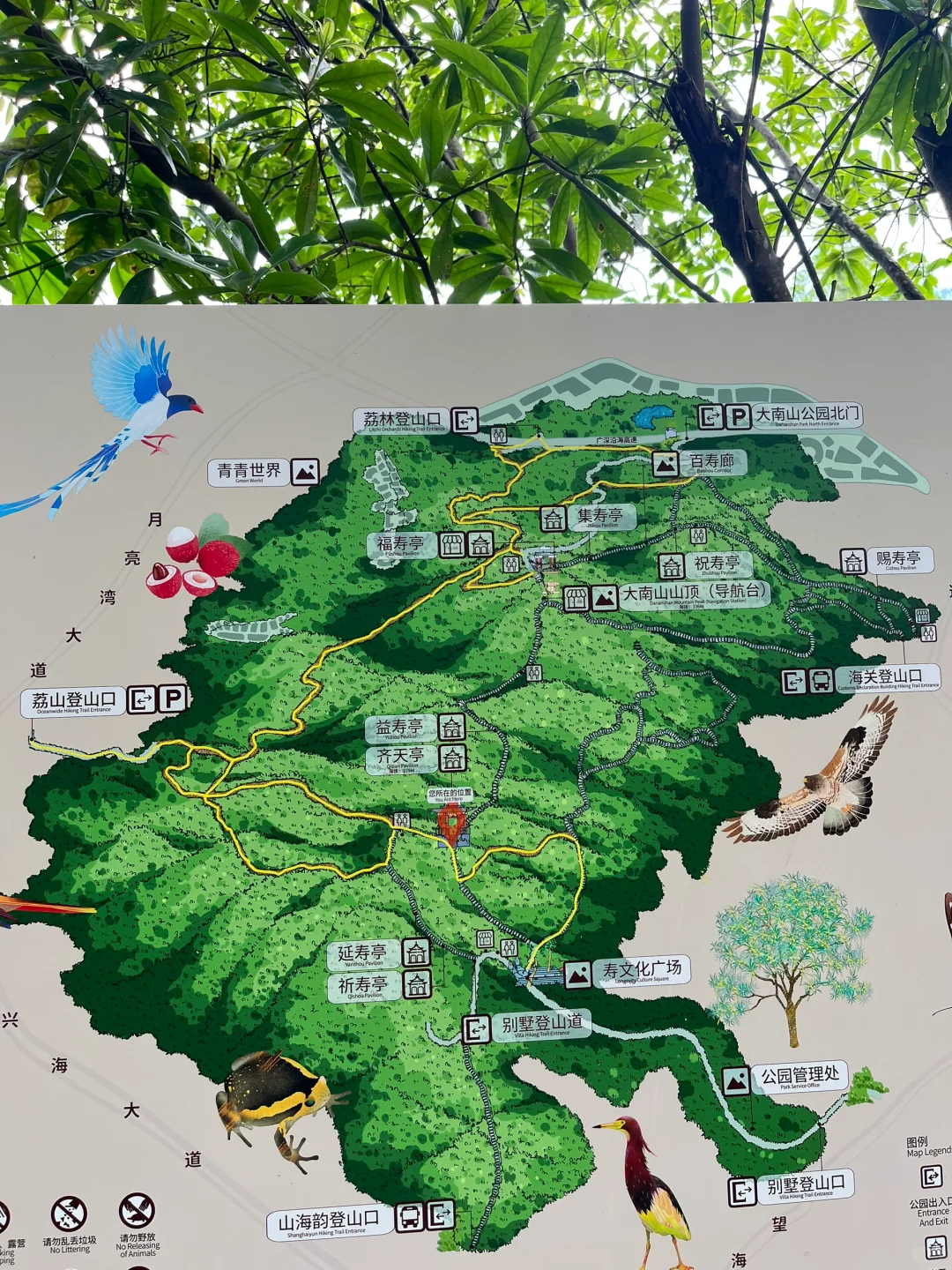 深圳｜大南山