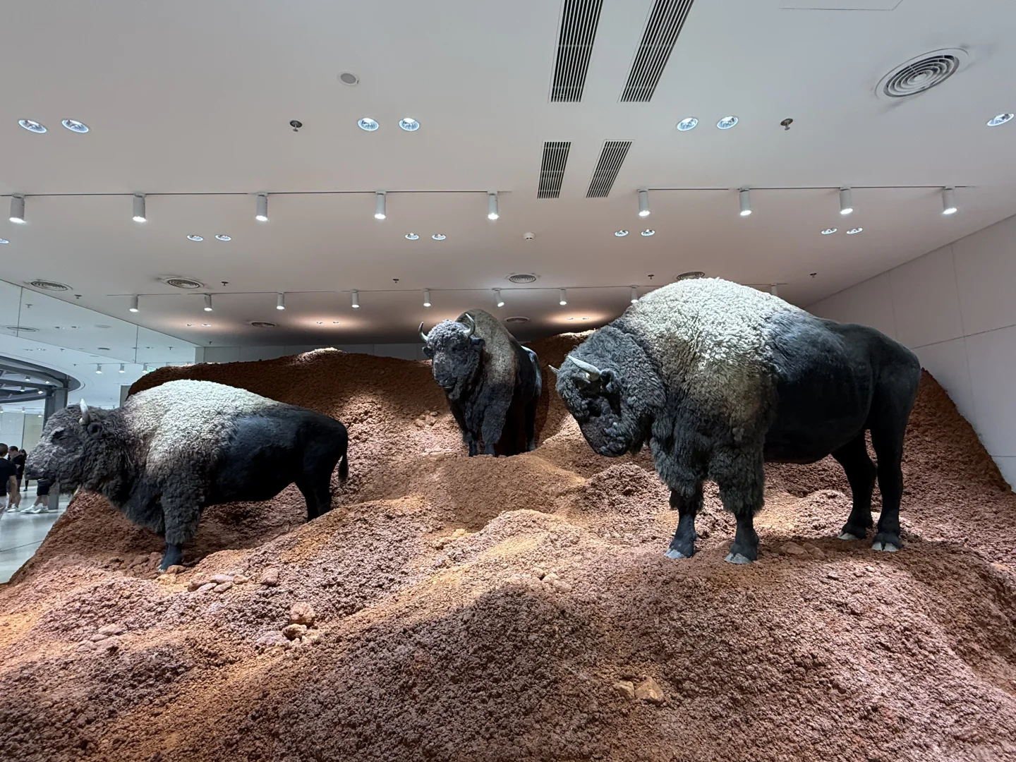 📍深圳巨人展，艺术与视觉的冲击