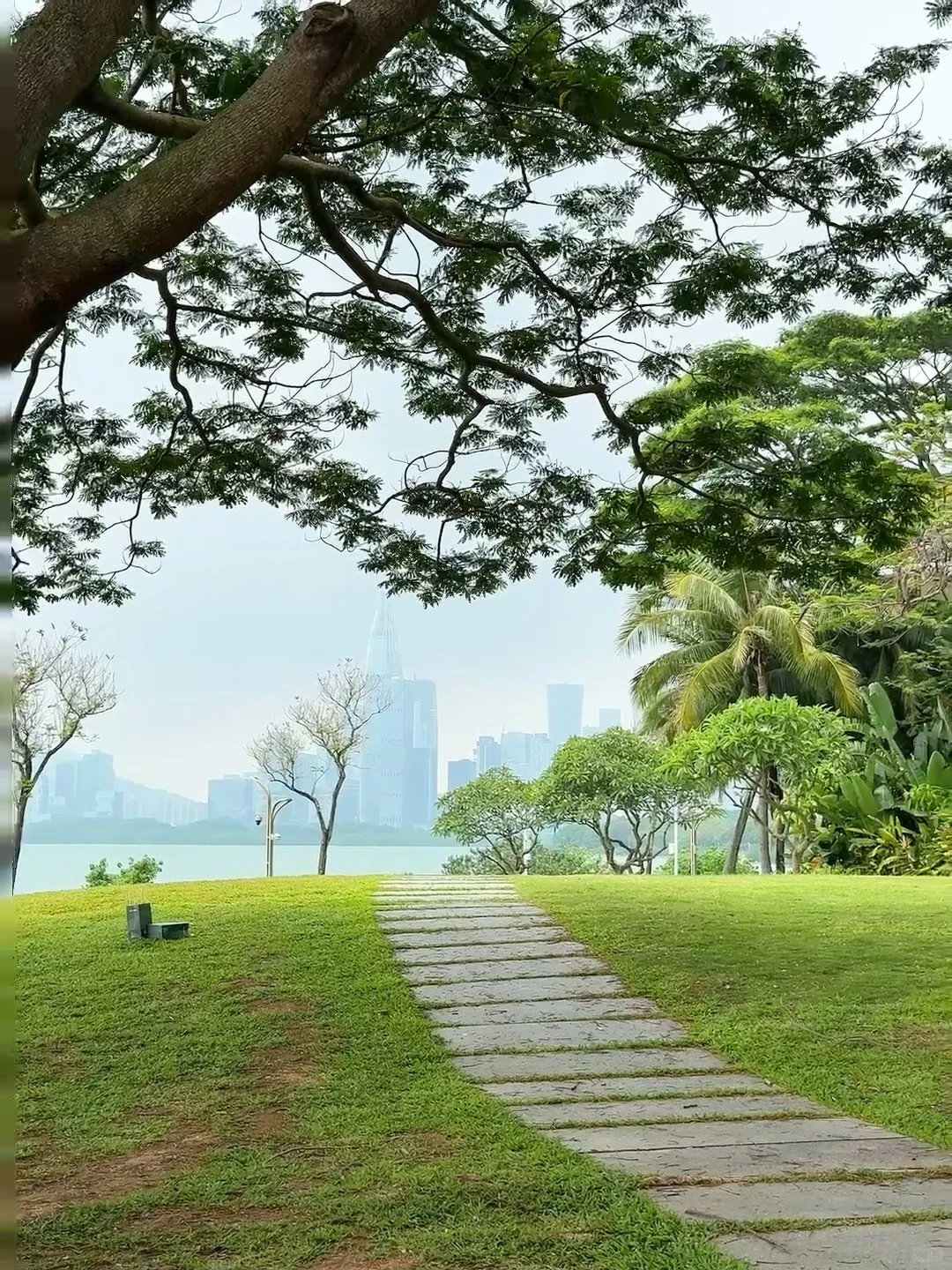 强烈推荐你去深圳湾公园沿海骑行‼️