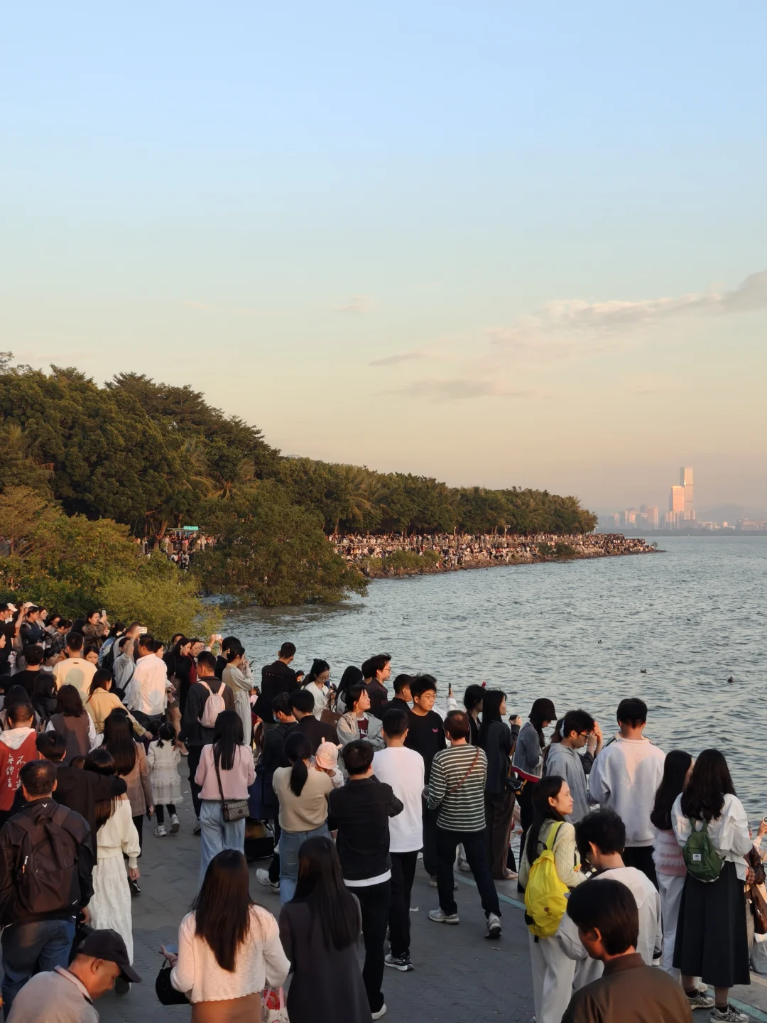 深圳湾公园挤满了仿佛没看过日落的人类