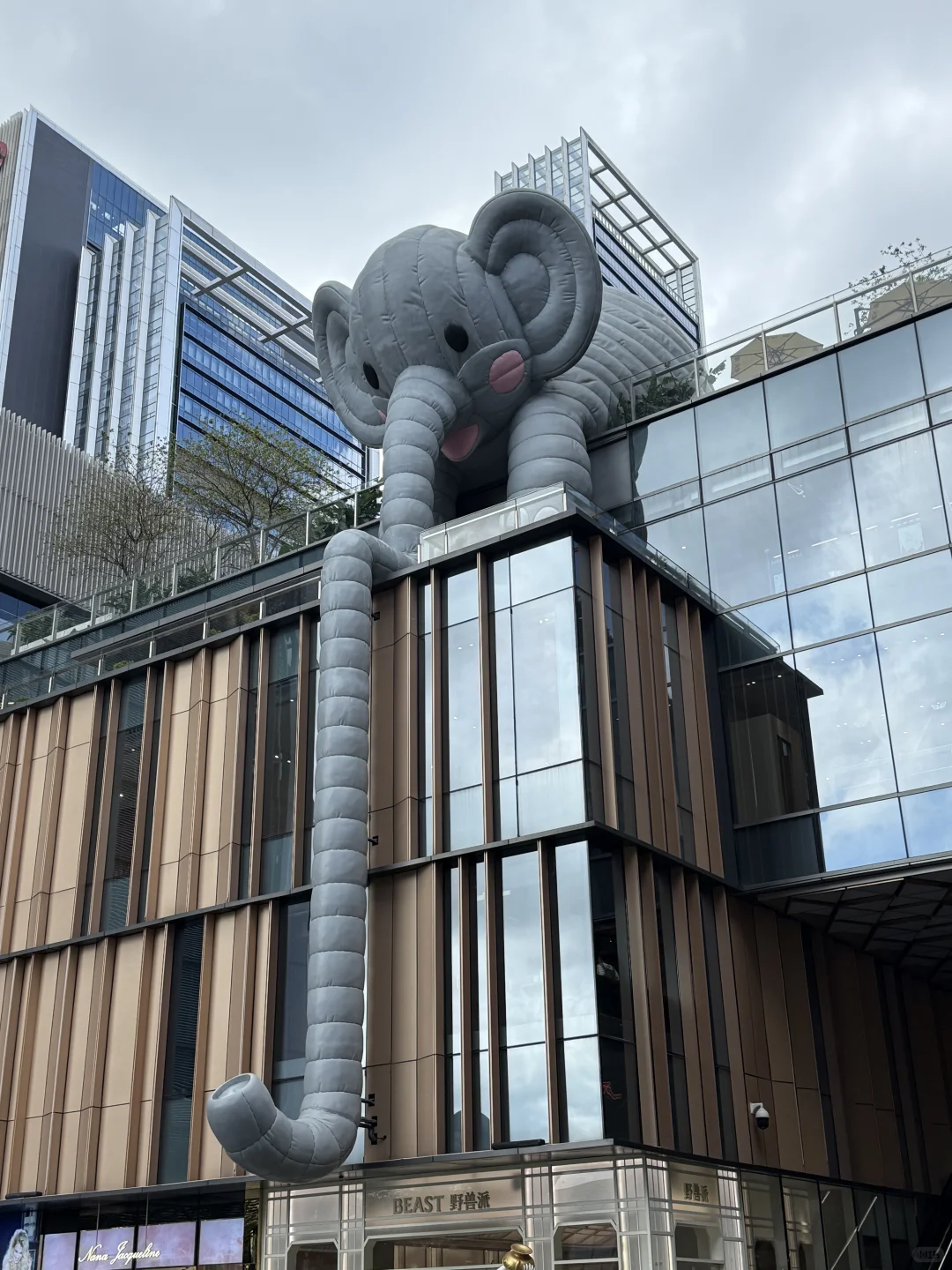 📍深圳巨人展，艺术与视觉的冲击