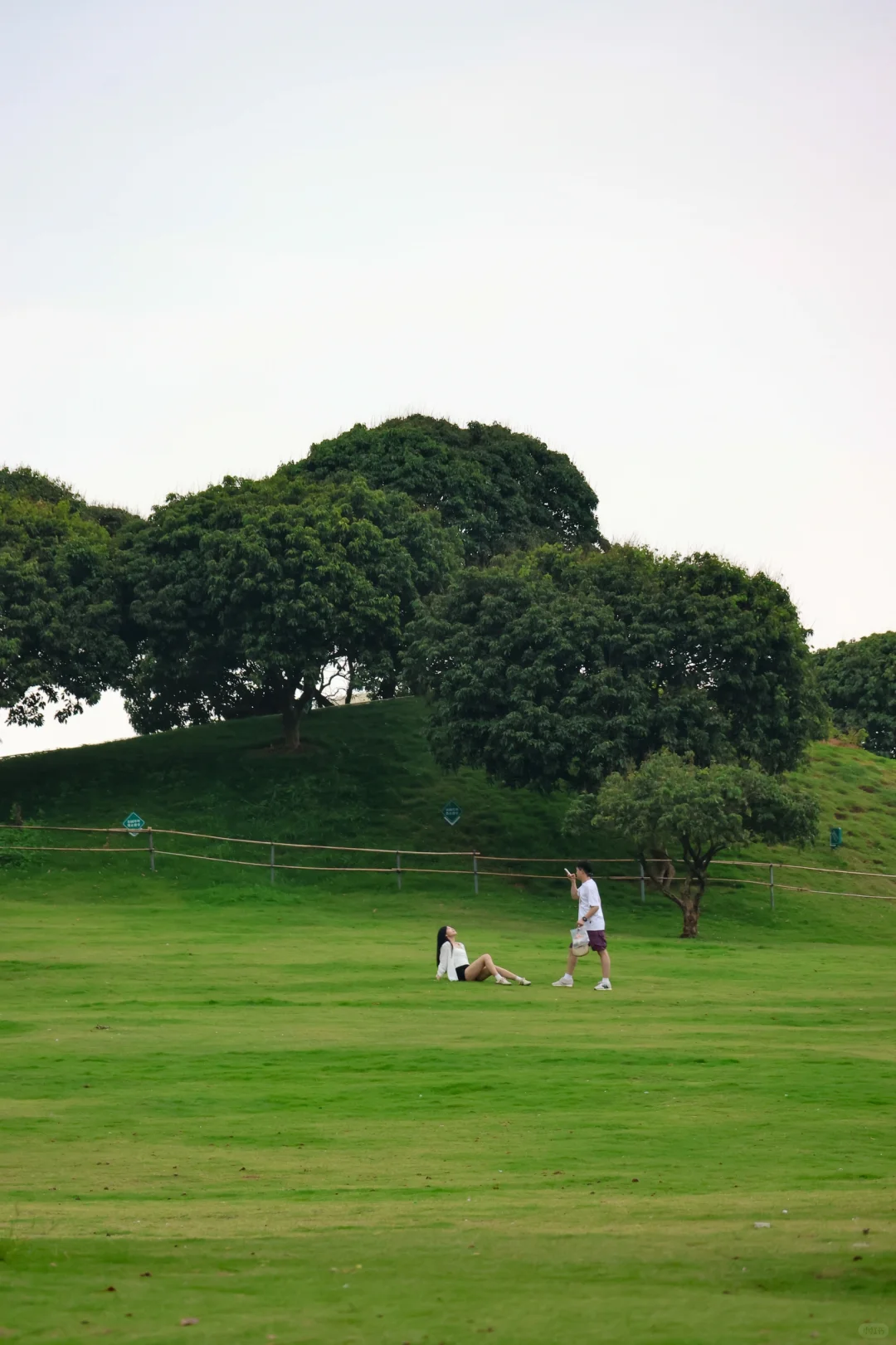 是谁允许深圳一个普通公园竟然这么美的….