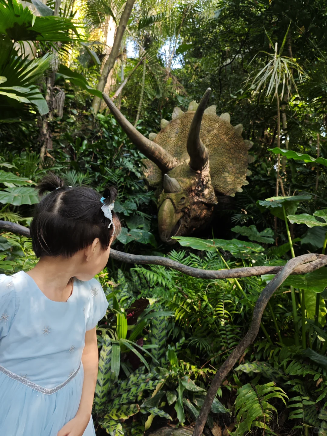 广州长隆野生动物园两日游，表演表