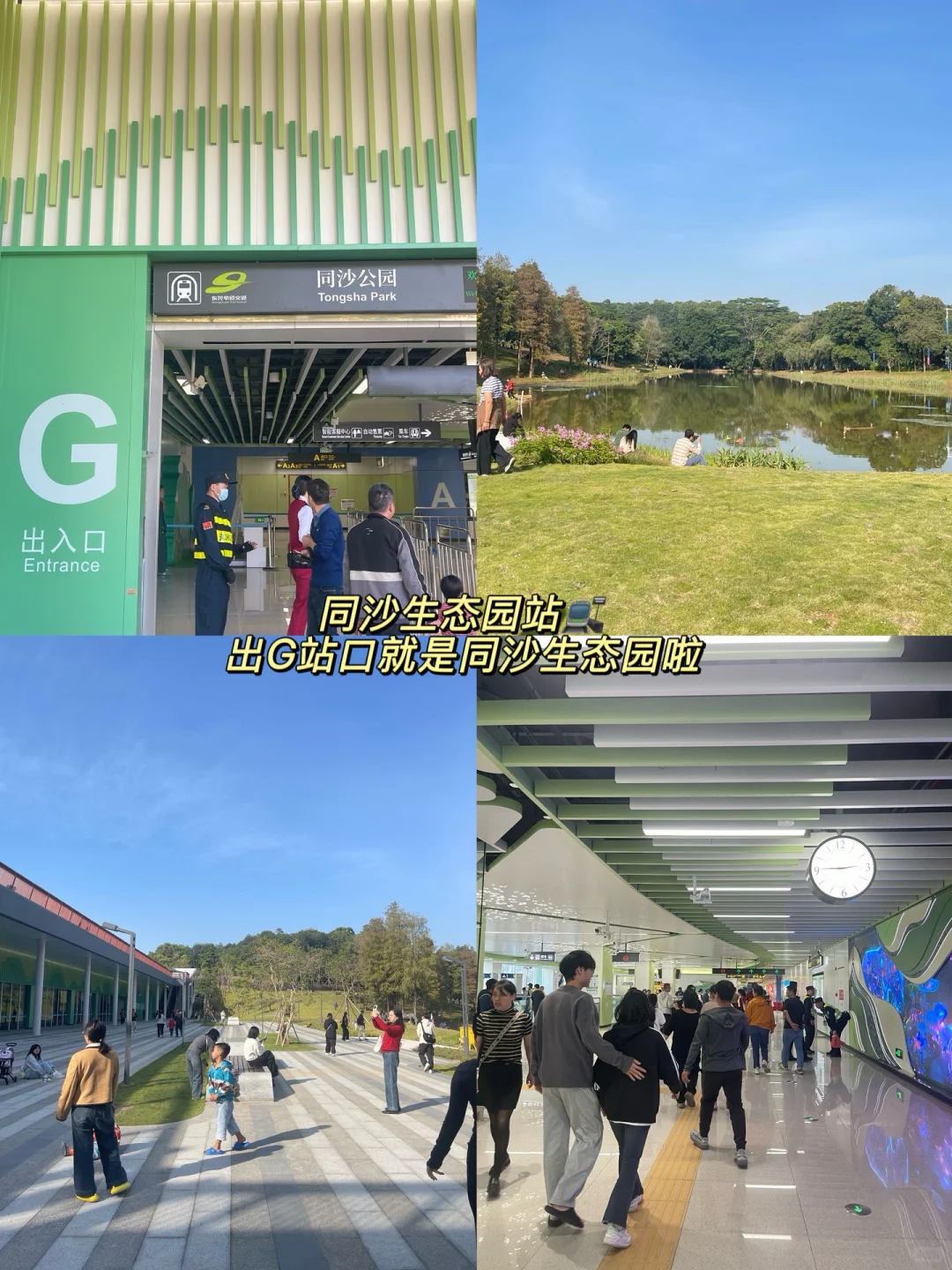 东莞地铁一号线开通啦！！乘坐攻略来啦‼️