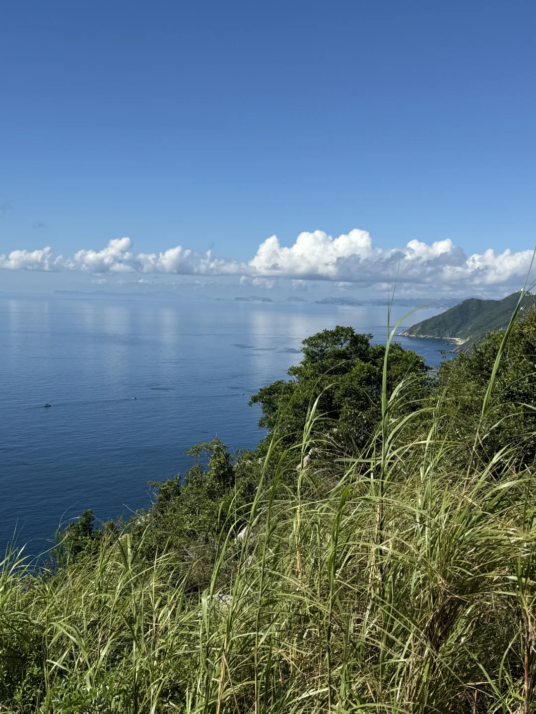 📍SHENZHEN｜ 深圳·天文台