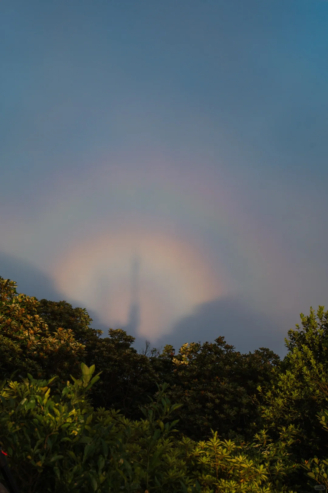 在深圳拍到了维港 ，香港第一高楼你敢信