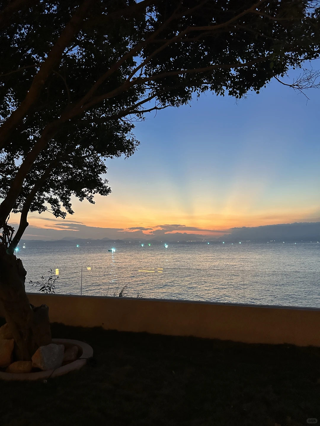 终于看到深圳天花板的玻璃海！！！