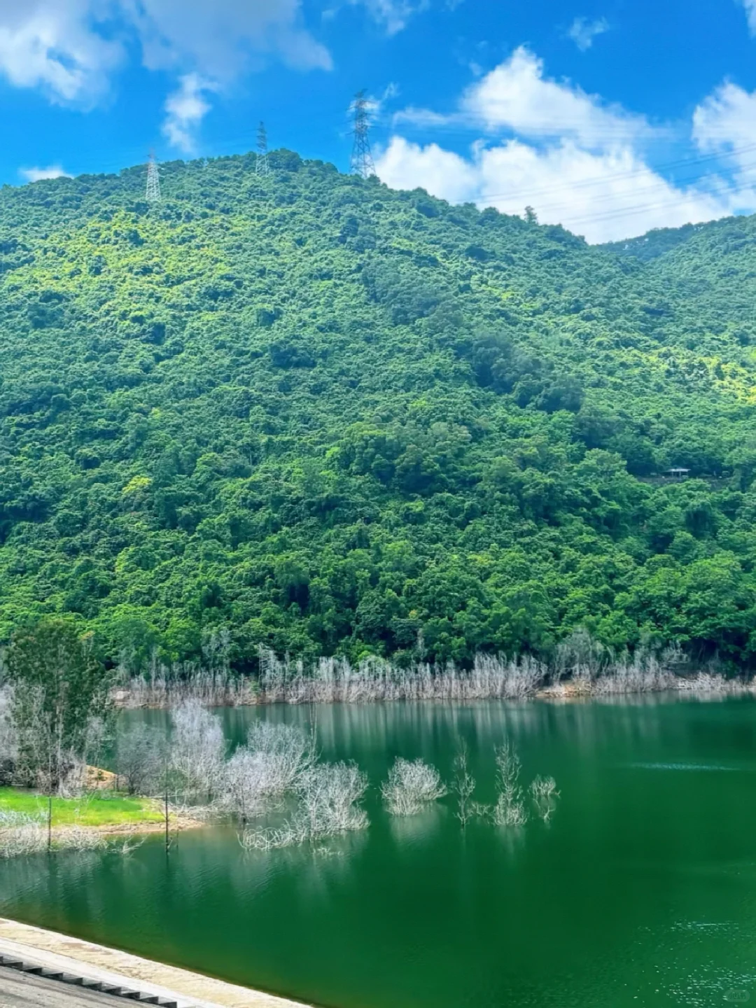 竟然没人宣传深圳这个公园！！