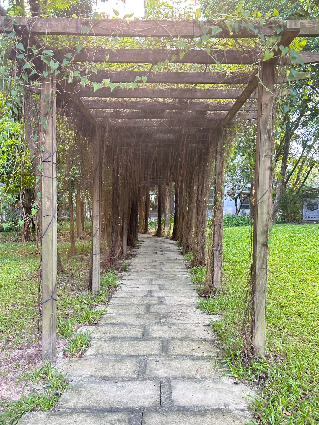 📍深圳大学粤海校区骑行