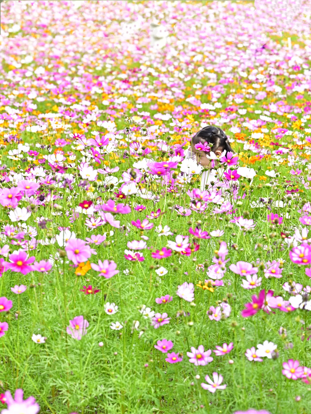 深圳最新打卡地🧡需预约、附攻略