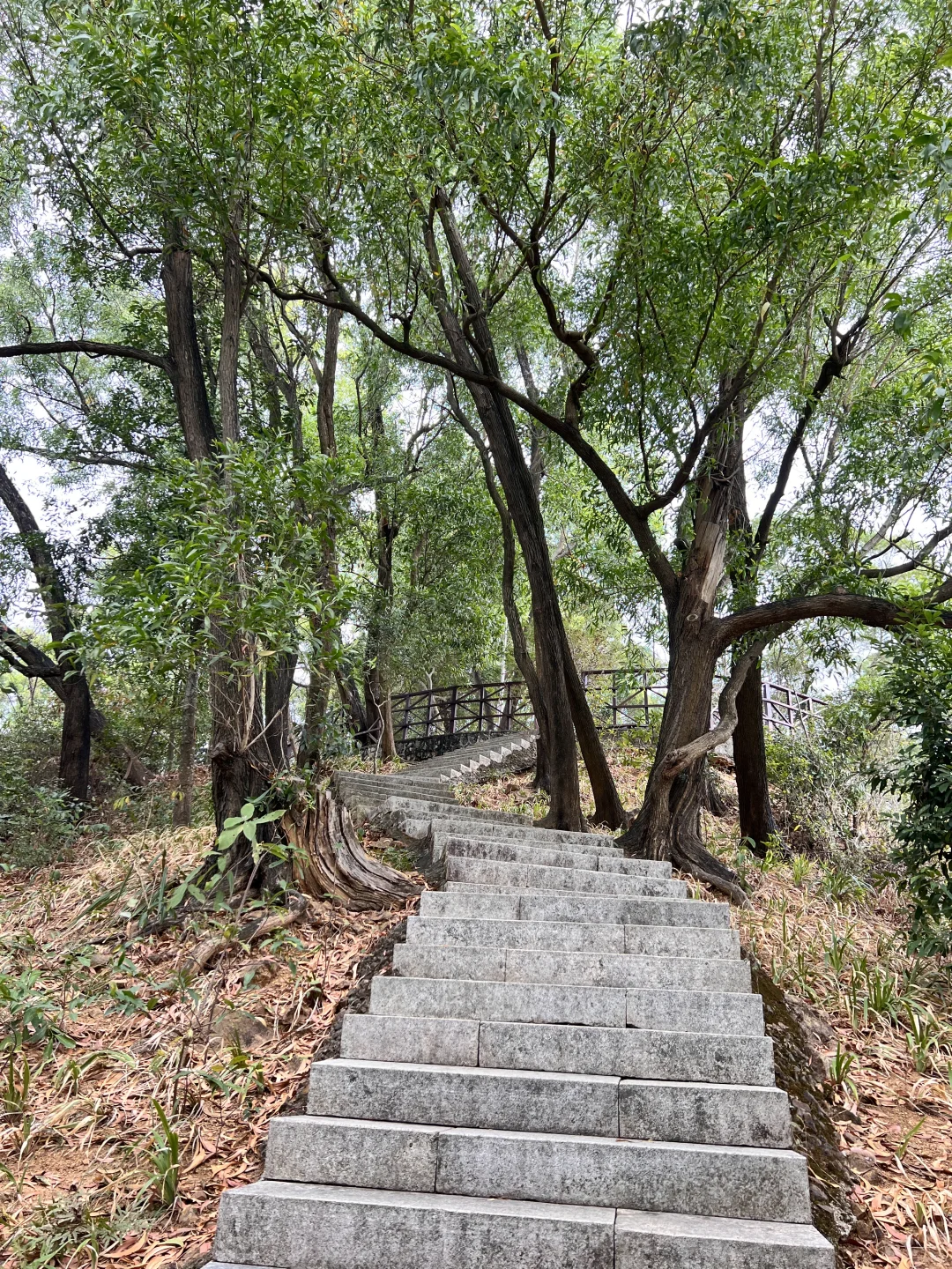 十一放假✌️在深圳见世面了哈哈