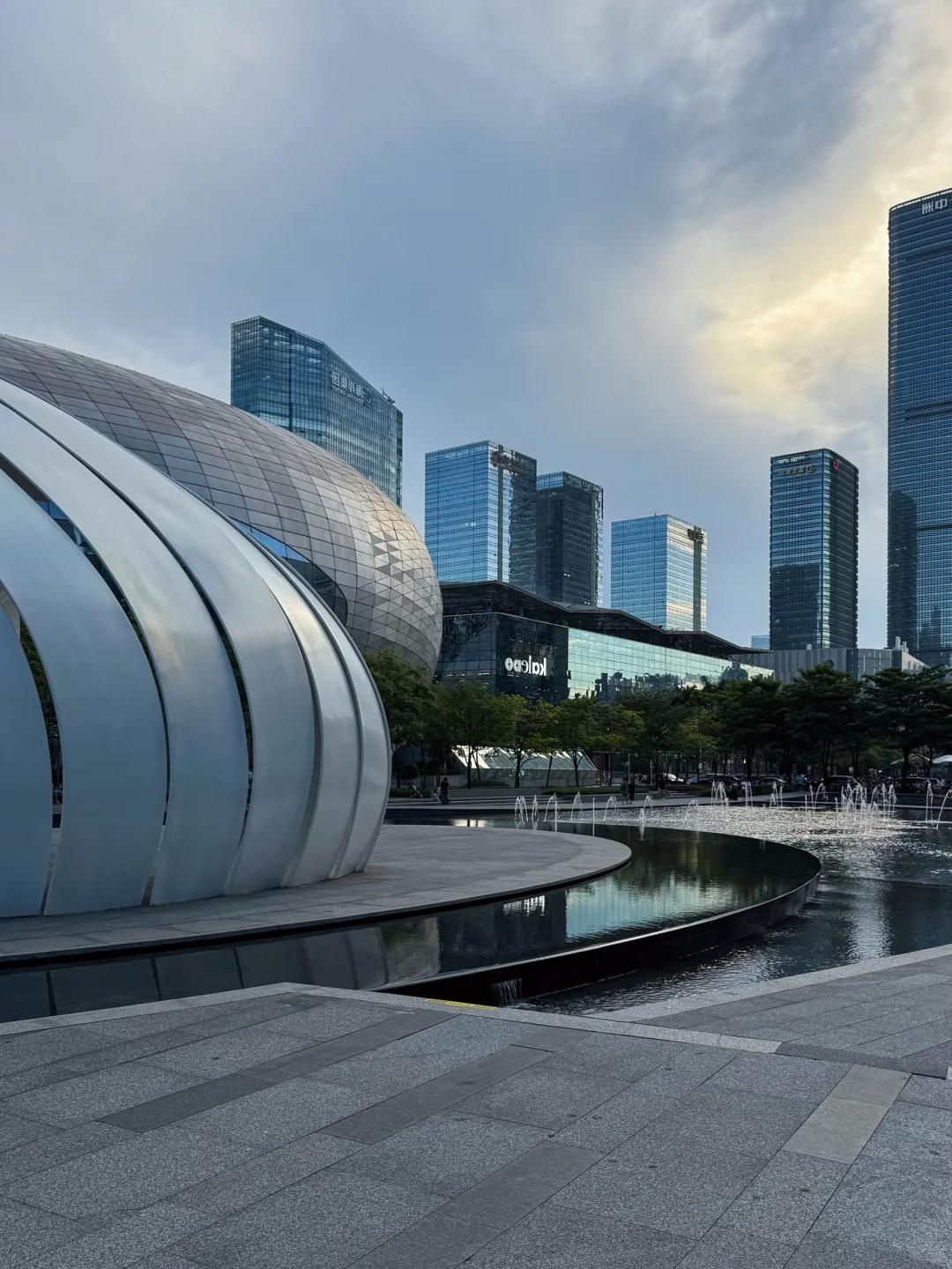 深圳湾不是深德里