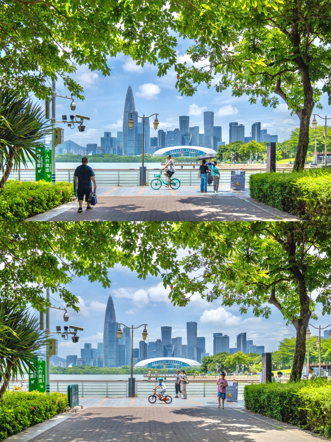 如果来深圳只能玩1天，直接复制这条路线‼️