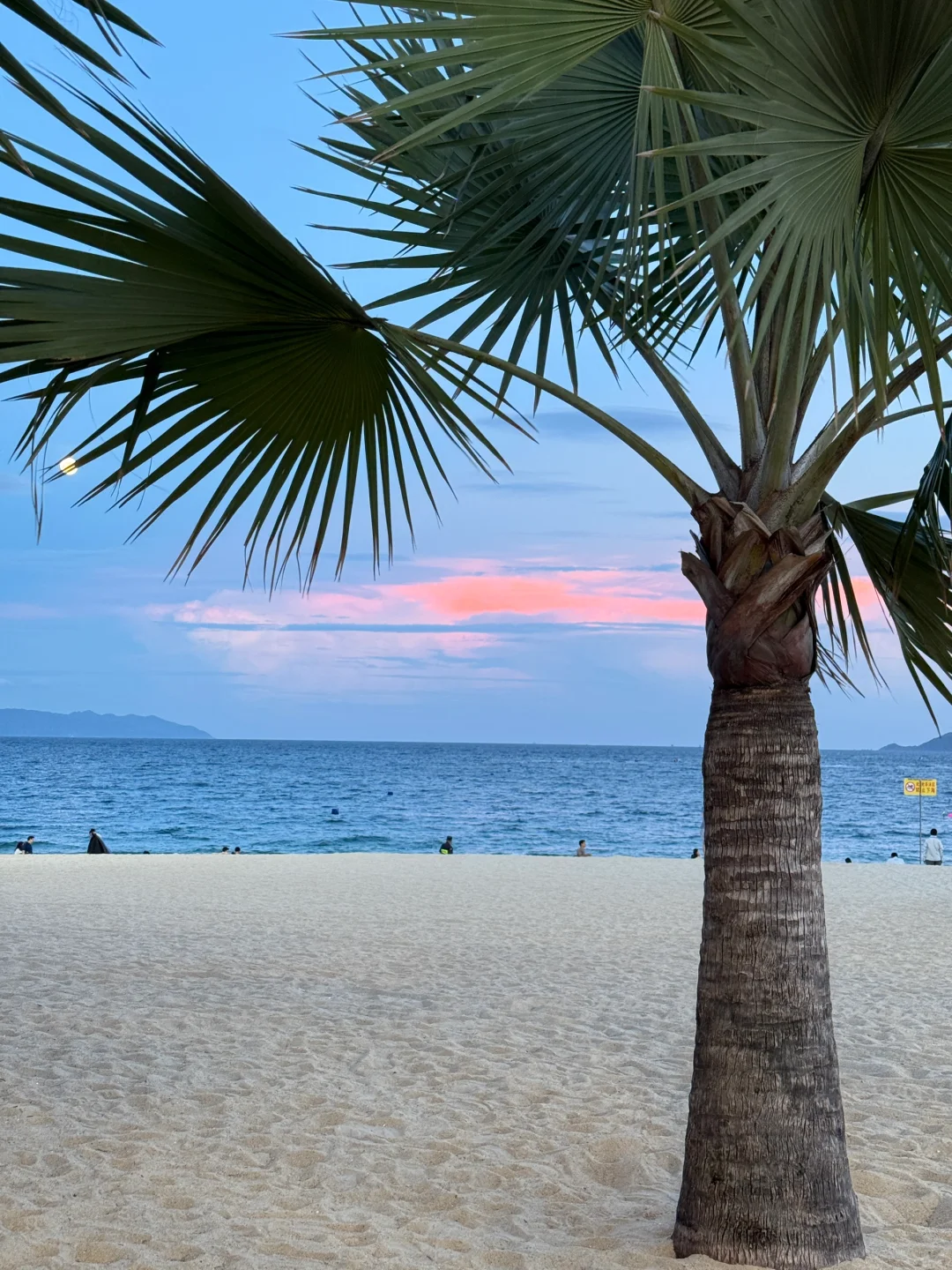 被深圳地铁直达免费的海🌊美疯！！！！