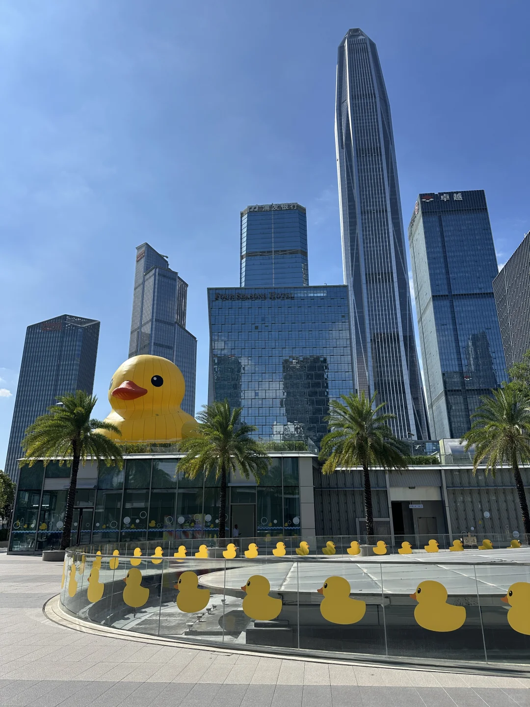 谁懂啊？🔅☁️深圳今天天气的含金量！