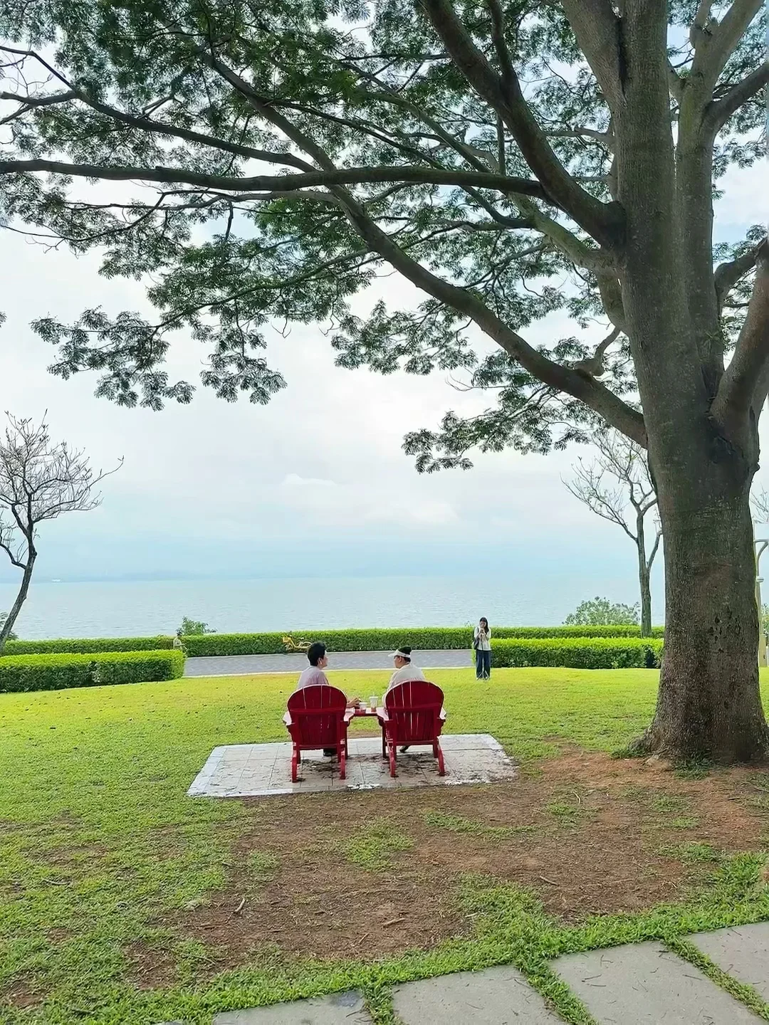 强烈推荐你去深圳湾公园沿海骑行‼️
