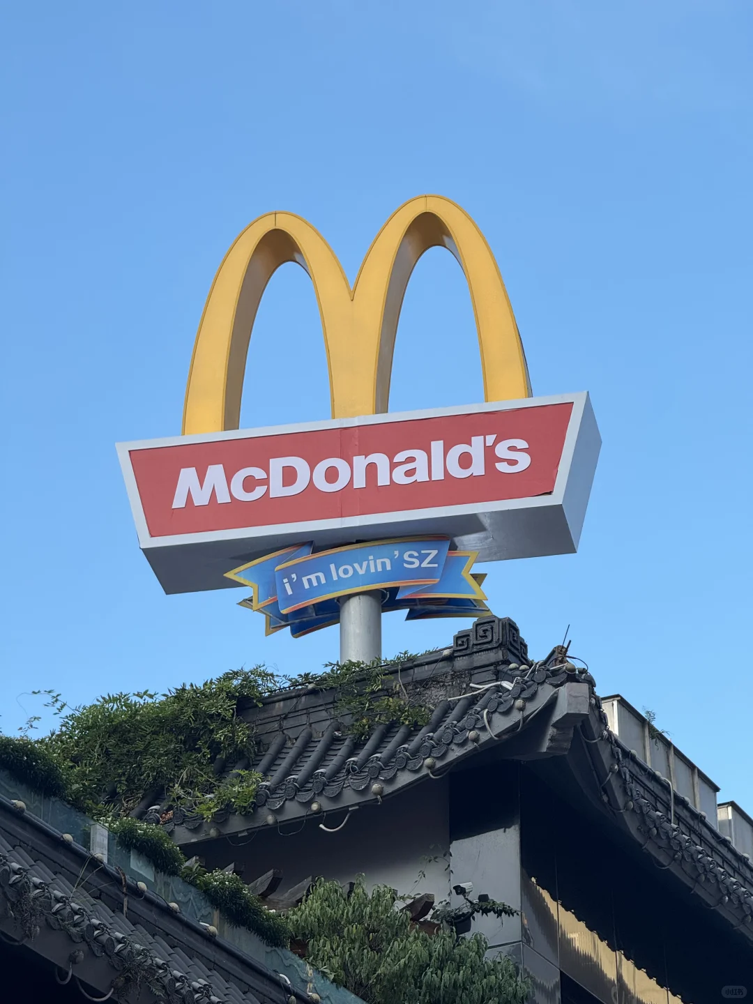 喜欢深圳的9张live图