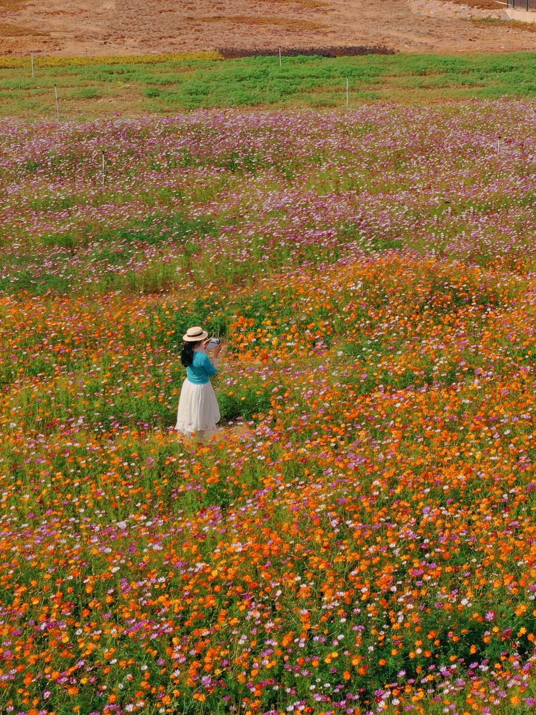 深圳最新打卡地🧡需预约、附攻略