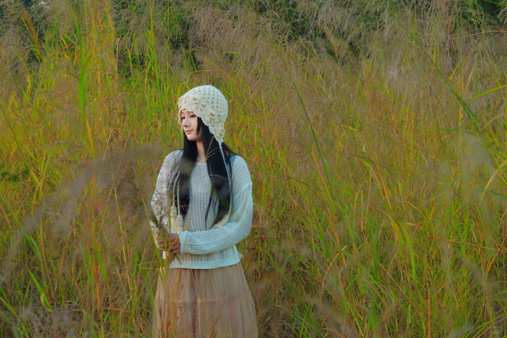 互勉3/20📷东莞南城也能拍芦苇大片啦