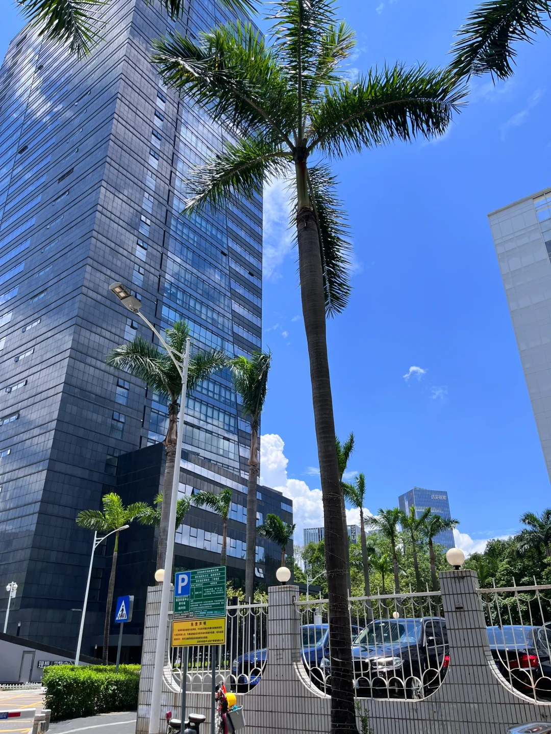 深圳真的舍不得离开