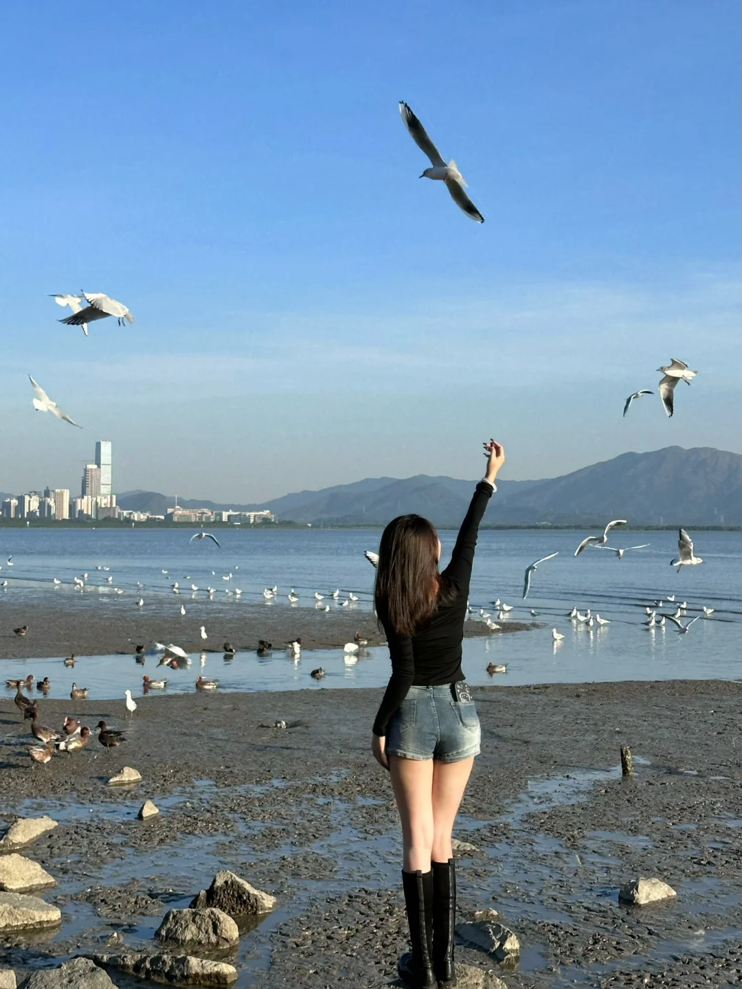 📍深圳湾公园 来看海鸥了