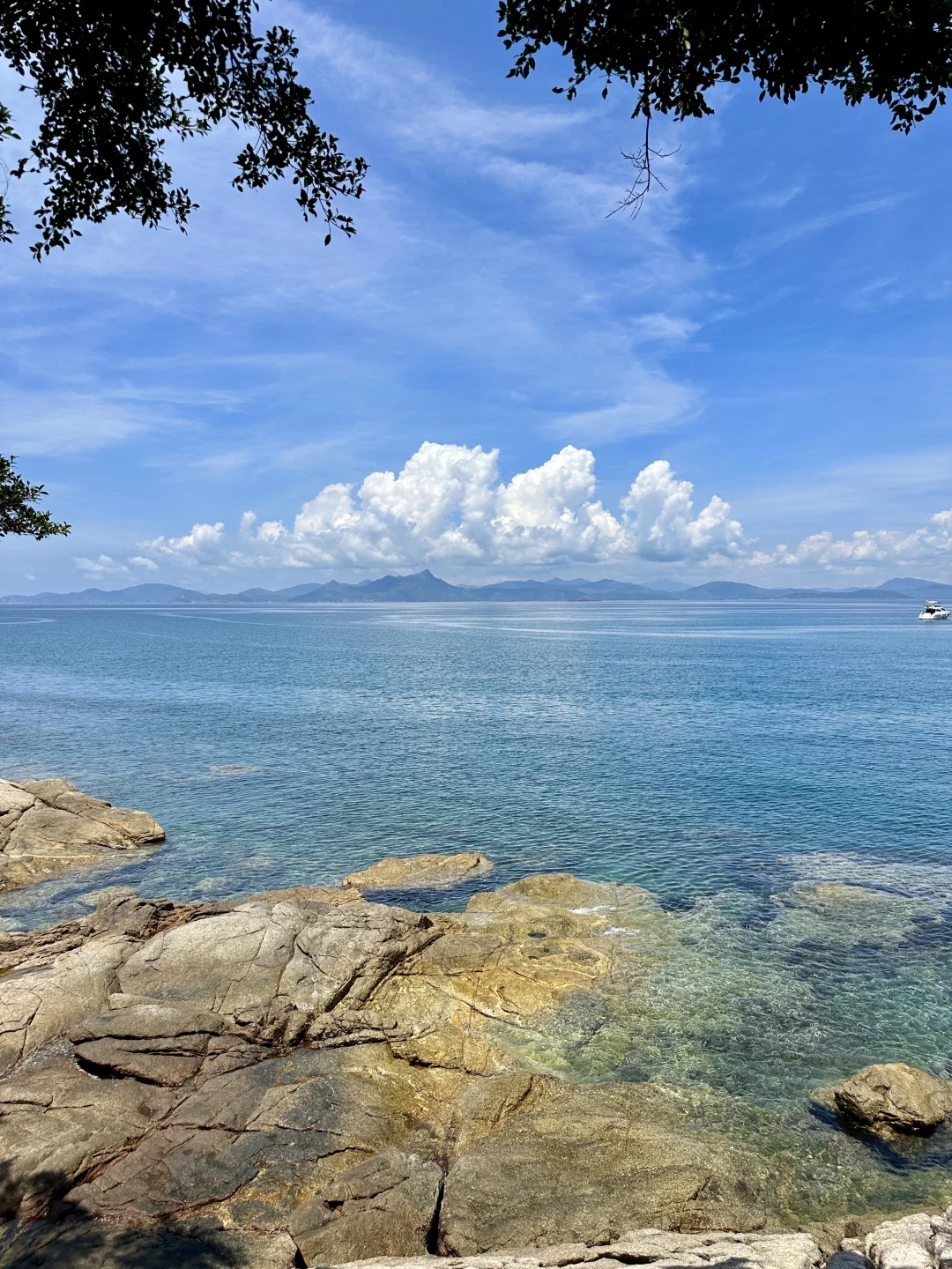 终于看到深圳天花板的玻璃海！！！