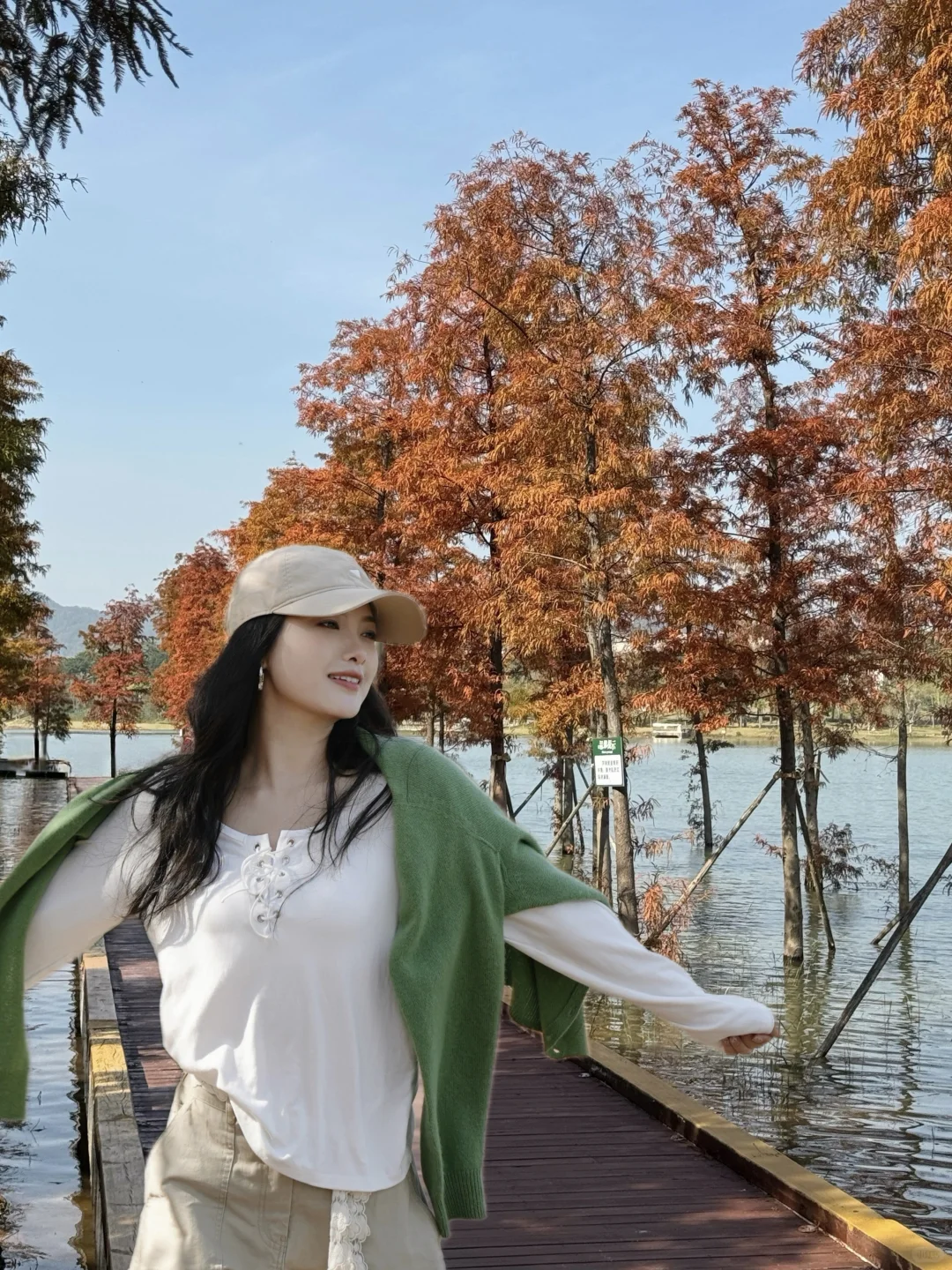 深圳实况｜新的湿地公园落羽杉已红🍁附机位