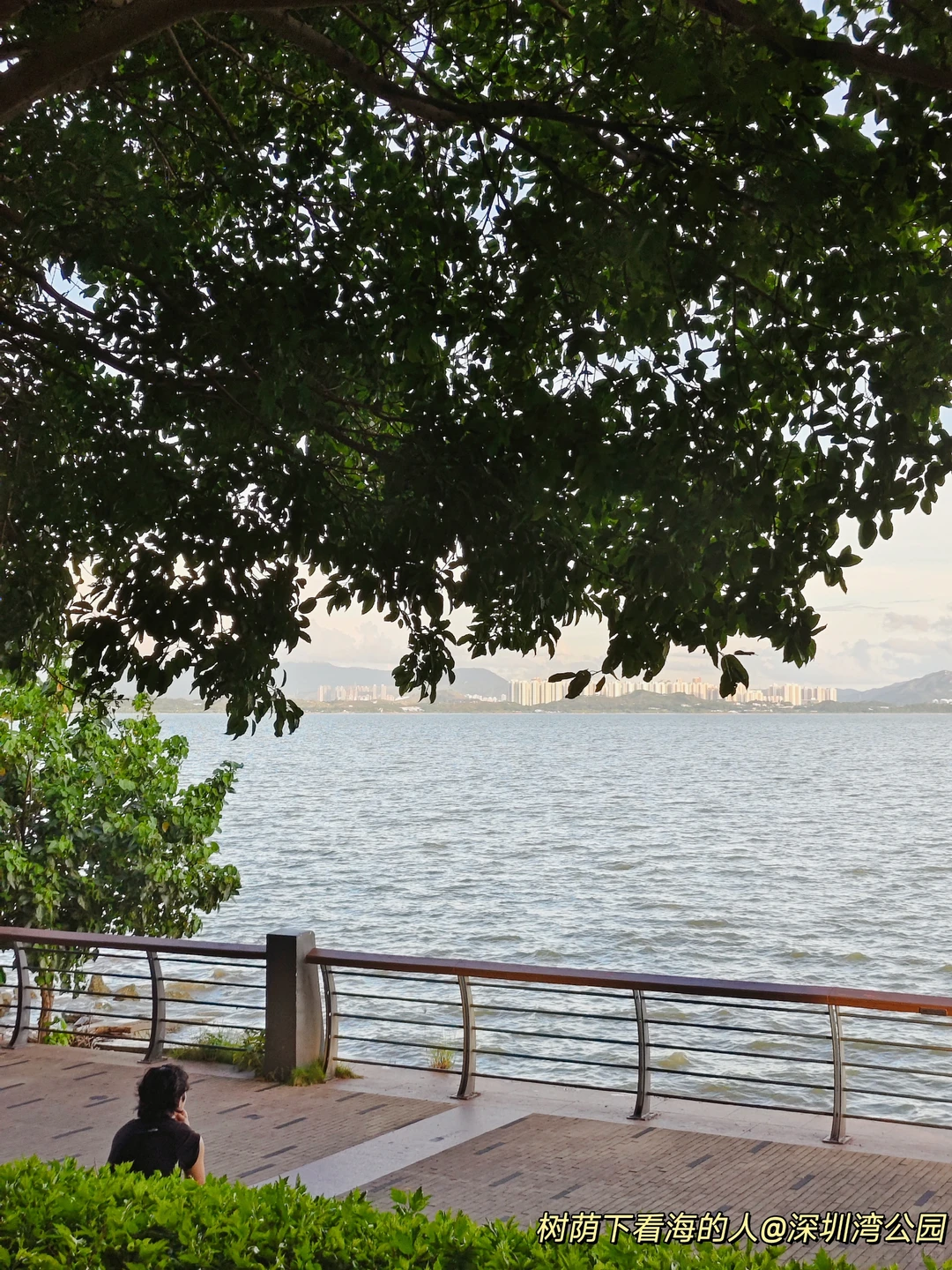 如果只来深圳1天，建议直接复制这条路线