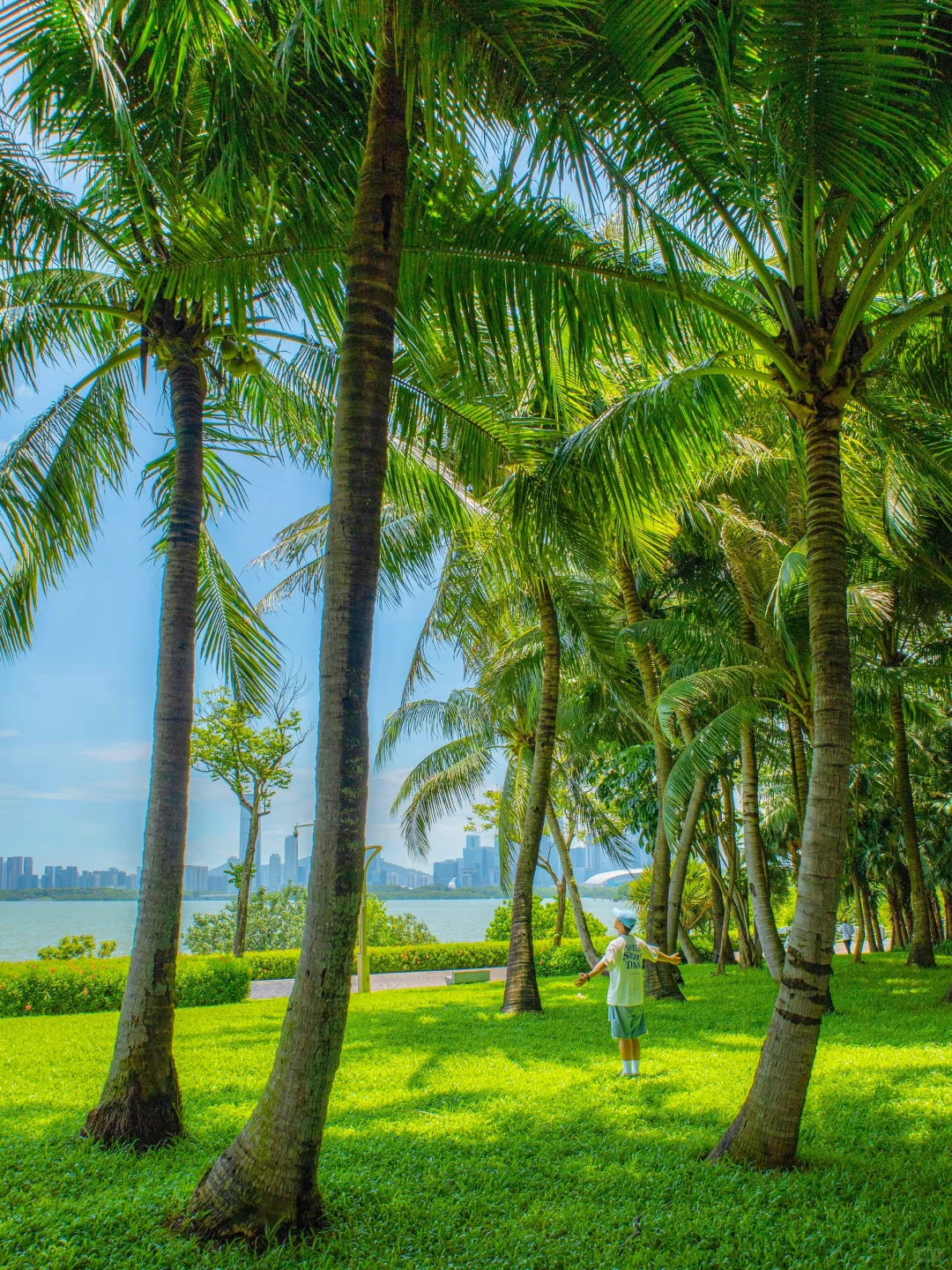 如果来深圳只能玩1天，直接复制这条路线‼️