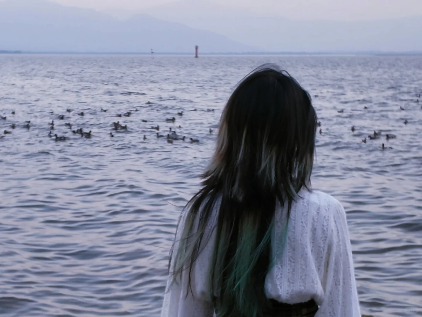 在深圳湾拍了一组神图！！！