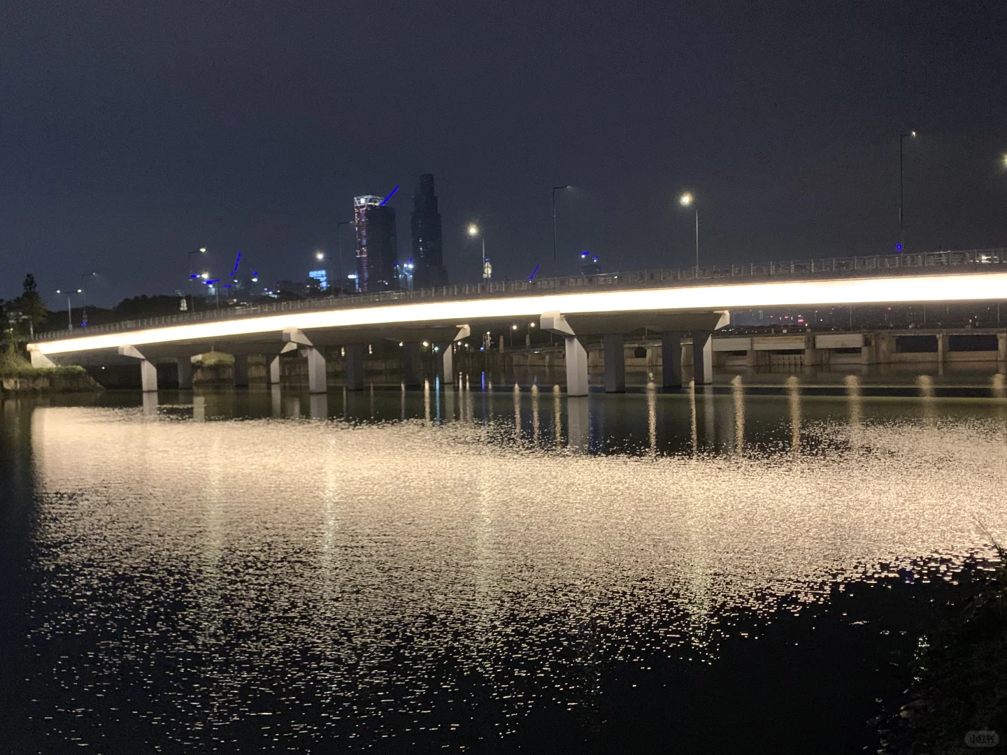 深圳人才公园夜景！美！