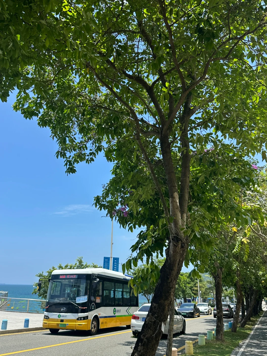 📍深圳·鹿嘴山庄 ｜打卡美人鱼拍摄地点