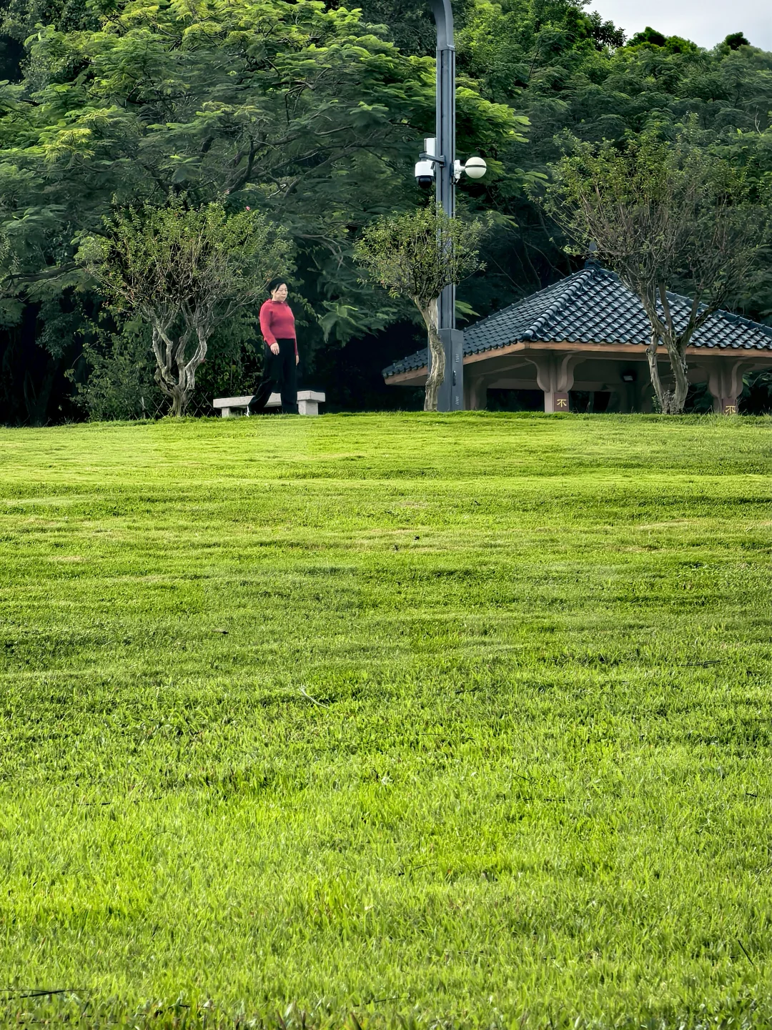 深圳历史最悠久的公园-中山公园
