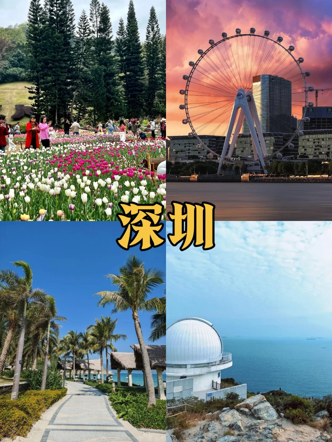 第一次来广东怎么玩❗广东5日游保姆级攻略