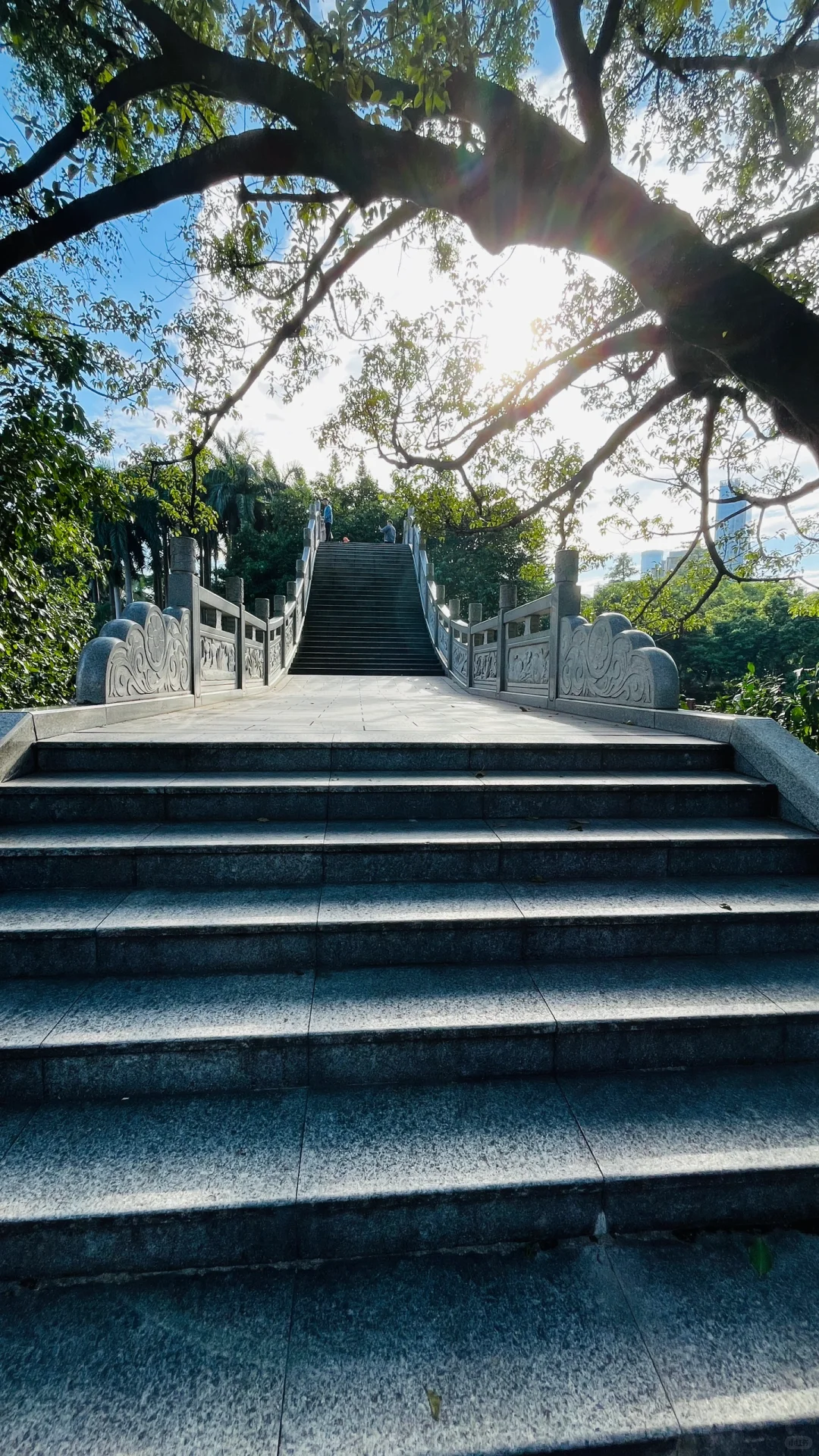 深圳福田荔枝公园游玩攻略